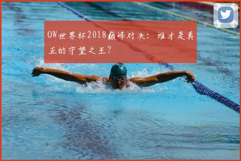 OW世界杯2018巅峰对决：谁才是真正的守望之王？