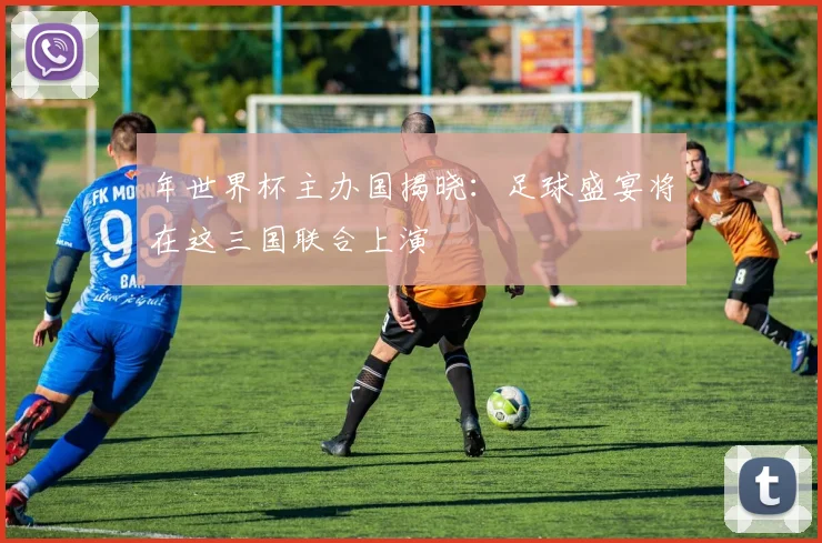 年世界杯主办国揭晓：足球盛宴将在这三国联合上演