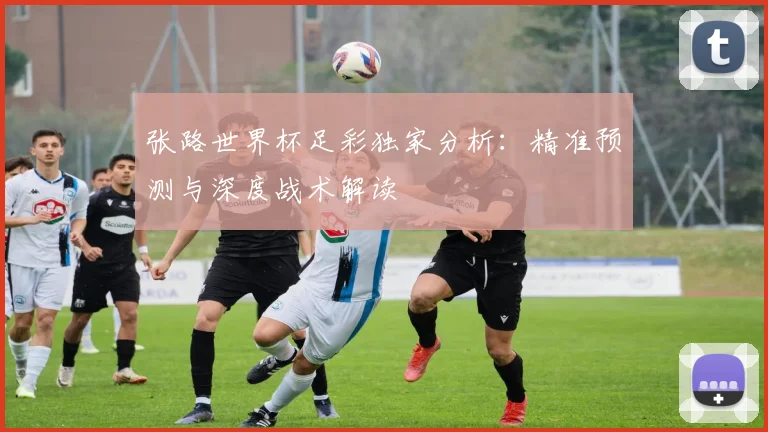 张路世界杯足彩独家分析:精准预测与深度战术解读