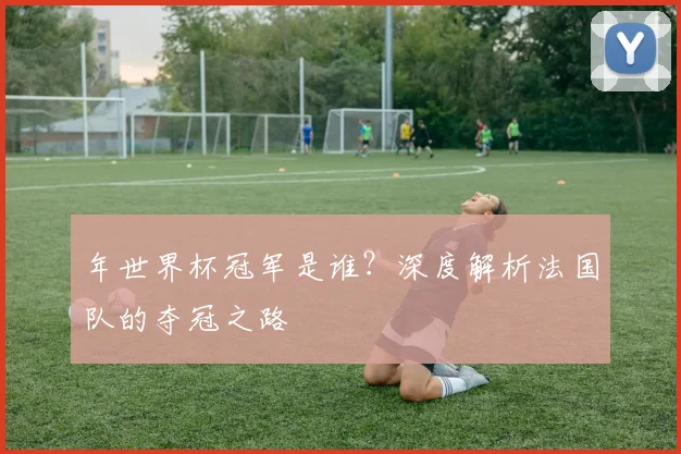 年世界杯冠军是谁？深度解析法国队的夺冠之路