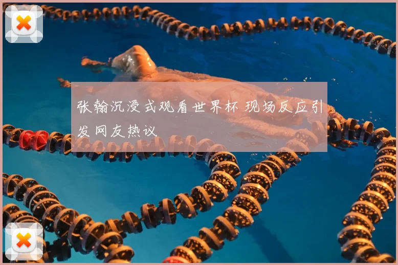 张翰沉浸式观看世界杯 现场反应引发网友热议