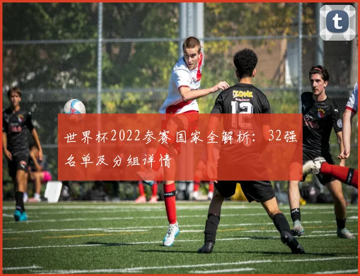 世界杯2022参赛国家全解析：32强名单及分组详情