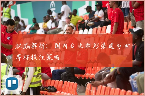 权威解析：国内合法购彩渠道与世界杯投注策略
