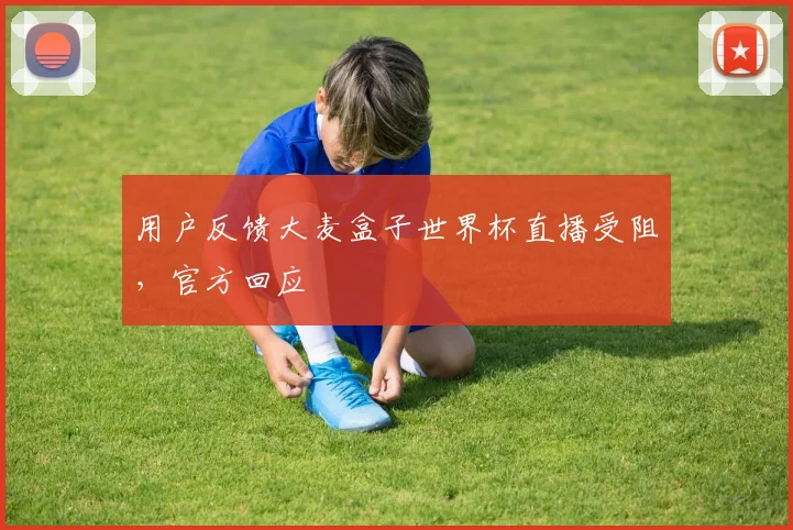 用户反馈大麦盒子世界杯直播受阻，官方回应