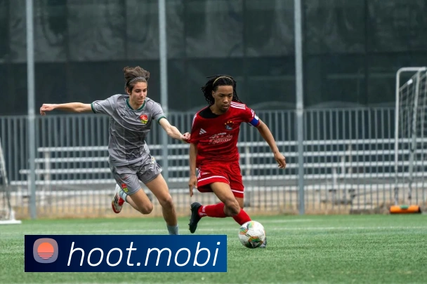 开云app在线网页版入口APP 体育赛事宣传图